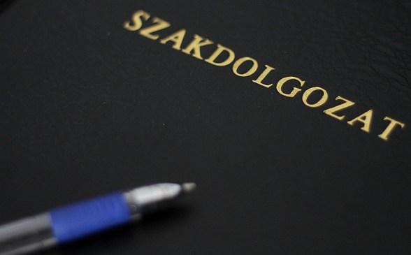 Szakdolgozatok februári védése Szakdolgozatok februári védése